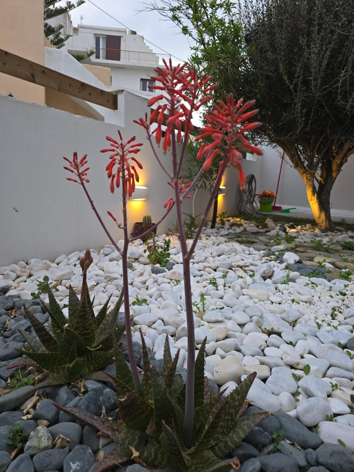 The Garden House Villa Tínos Exterior foto